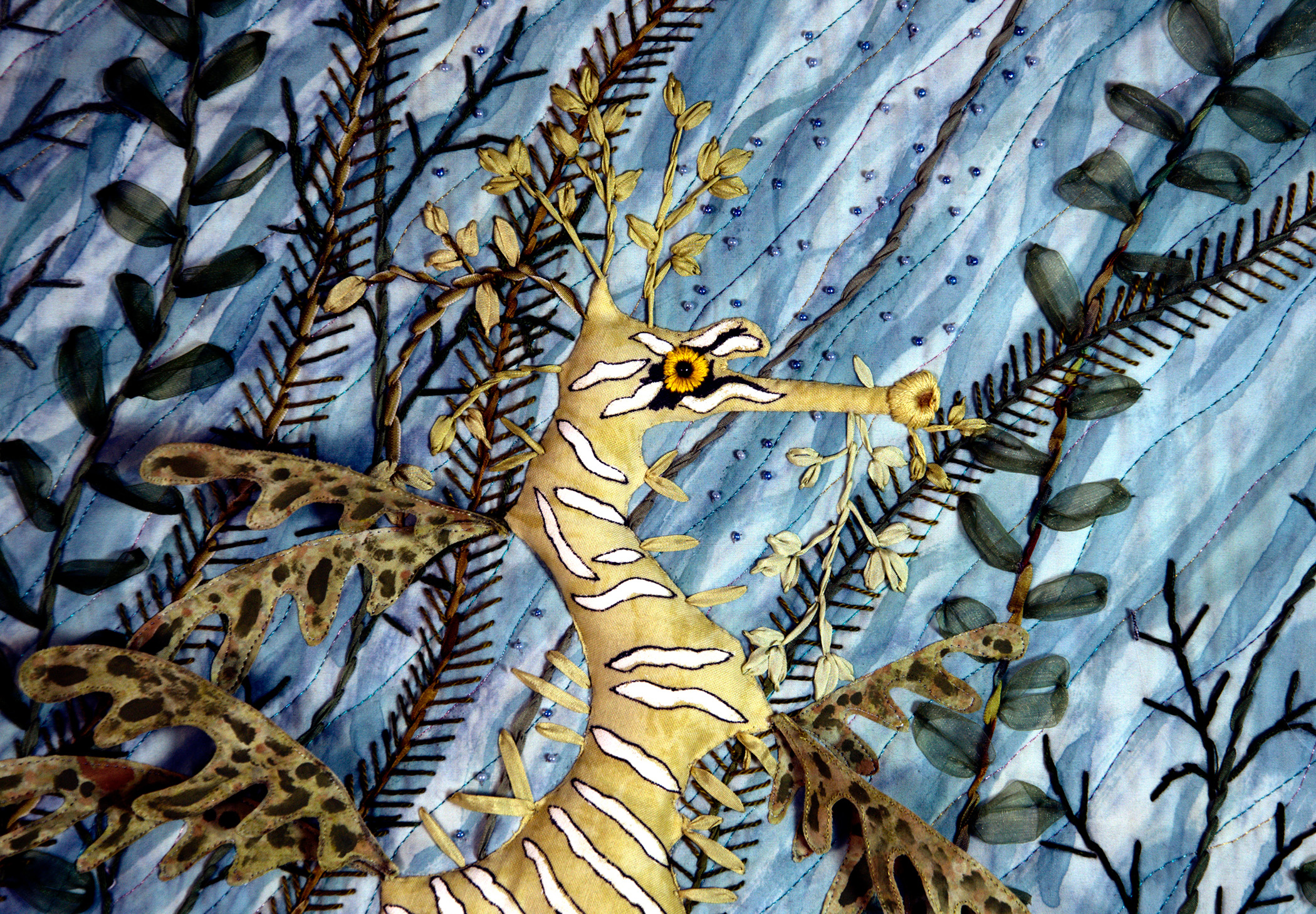 Leafy Sea Dragon